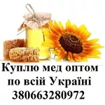 Покупаю мед оптом по высокой цене по все Украине