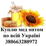 Покупаю мед оптом по всей Украине