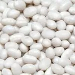 Закупка квасолі. Приймаємо різні сорти на переробку