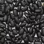 Сортова квасоля. Доставка по Україні. Різні сорти.