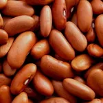 Квасоля сортова Шоколадниця,  Ліма,  Кофейка,  Солдатик та ін