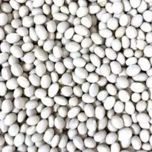 Насіння квасолі Червона Шапочка,  Пінто,  Неві Бінс,  Ред Кідні 