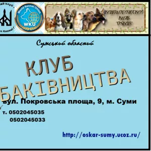 Запрошуємо в клуб собаківництва