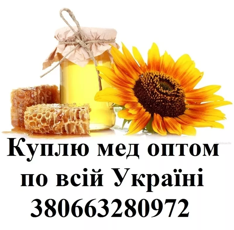 Покупаю по всей Украине мед оптом 