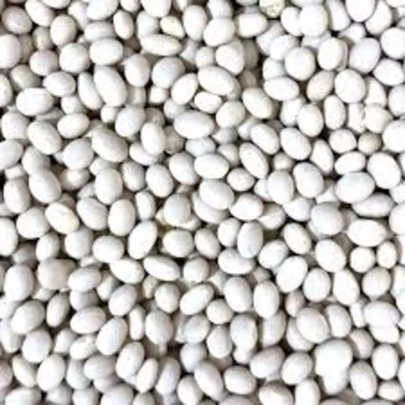 Насіння квасолі Червона Шапочка,  Пінто,  Неві Бінс,  Ред Кідні 